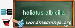 WordMeaning blackboard for haliatus albicilla
